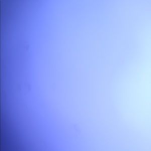 Meet your Posher, Faelin marie